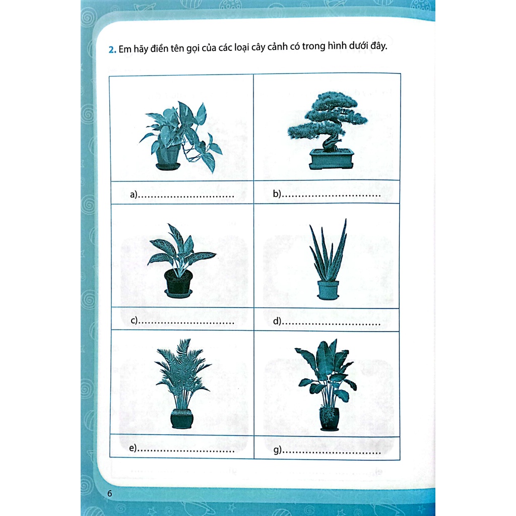 Sách Vở Bài Tập Công Nghệ 4