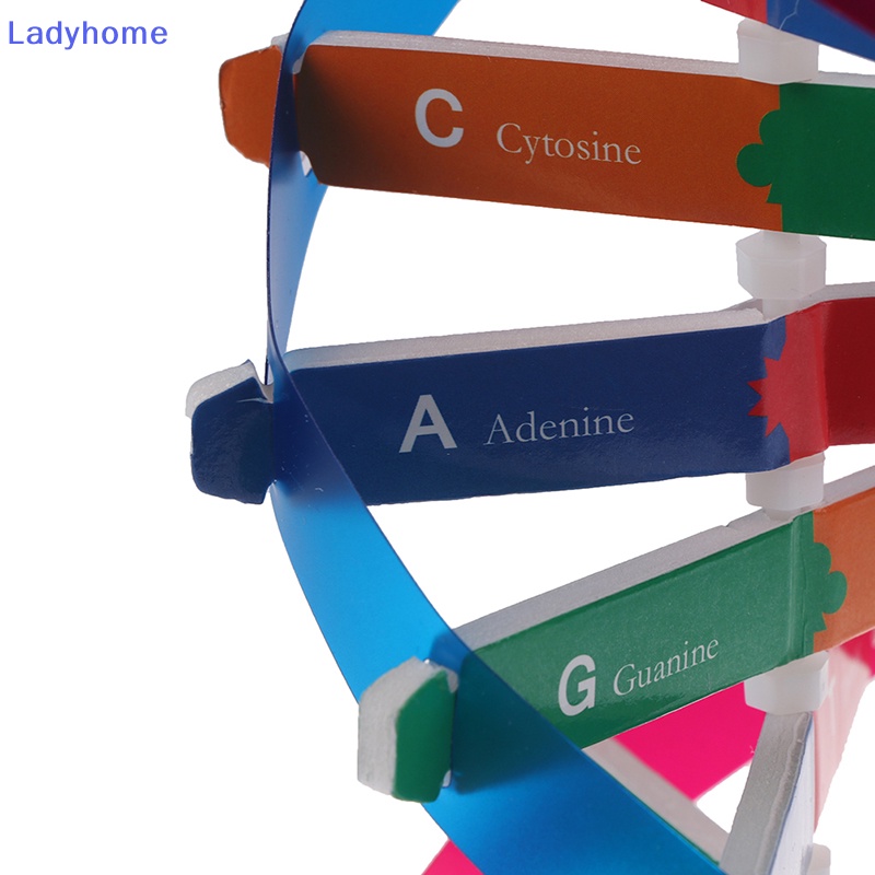 Lady Gen Mô Hình dna Đồ Chơi Dạy Học Khoa Học Thú Vị Cho Nữ vn
