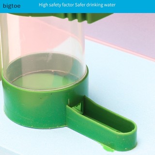 Bigtoe Bình Uống Nước Tự Động Cho Chim Cảnh