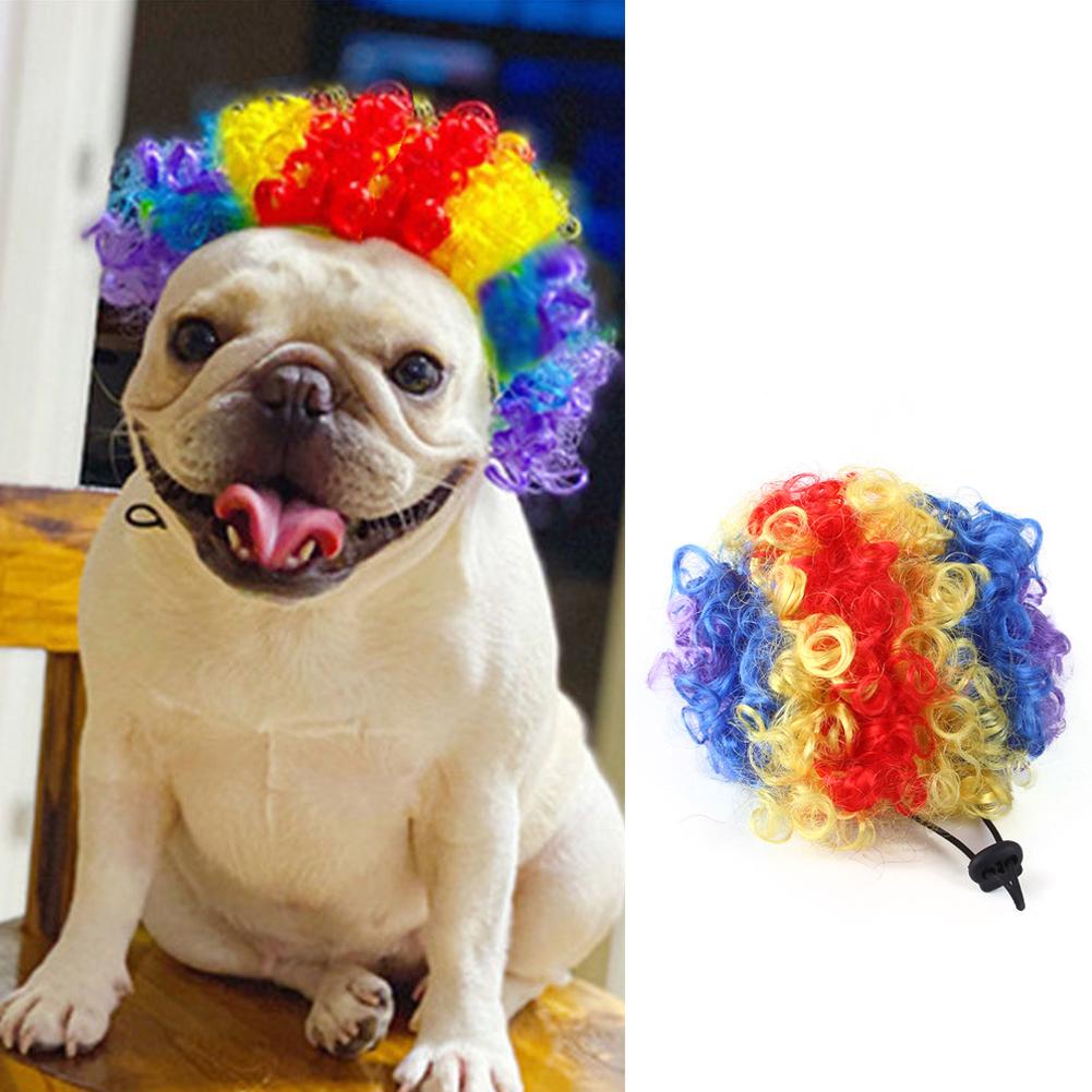 Bộ Tóc Giả Ngắn Xoăn Dành Cho Thú Cưng y4c9