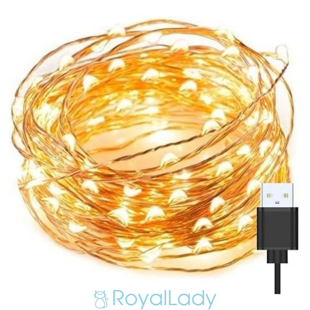 Dây Đèn Led 10m 100 Bóng Trang Trí Sinh Động