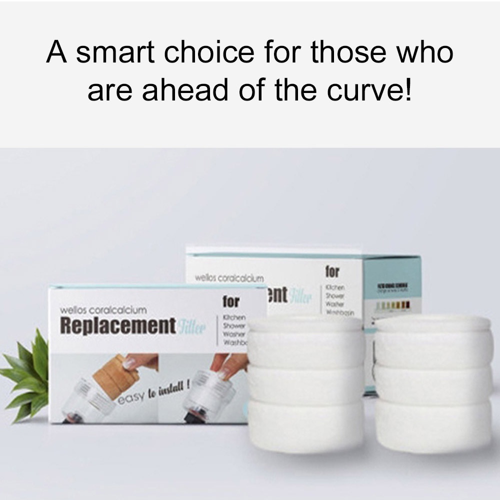 Wellos Korea Replacement Water Filter 2Pcs  Kitchen Purifier Cobra Jabara