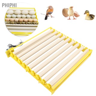 Phiphi khay ấp trứng hoàn toàn tự động gia đình cho gà vịt chim cút