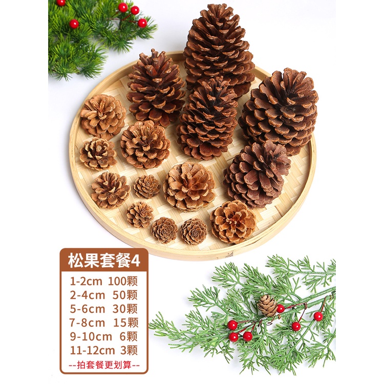 Quả thông tự nhiên trang trí Noel làm thủ công handmade - Steam