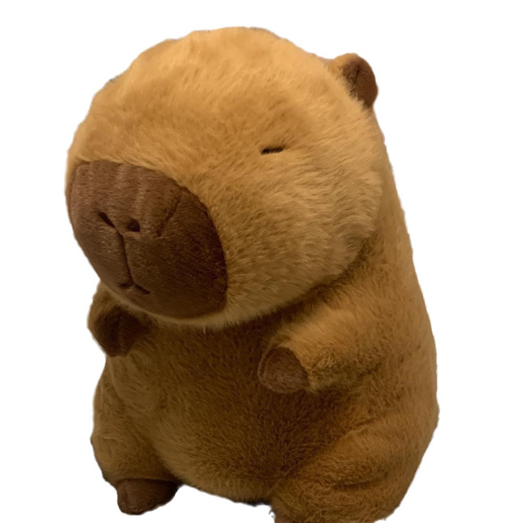 Thú Nhồi Bông Hình Gấu teddy Dễ Thương Cho Bé