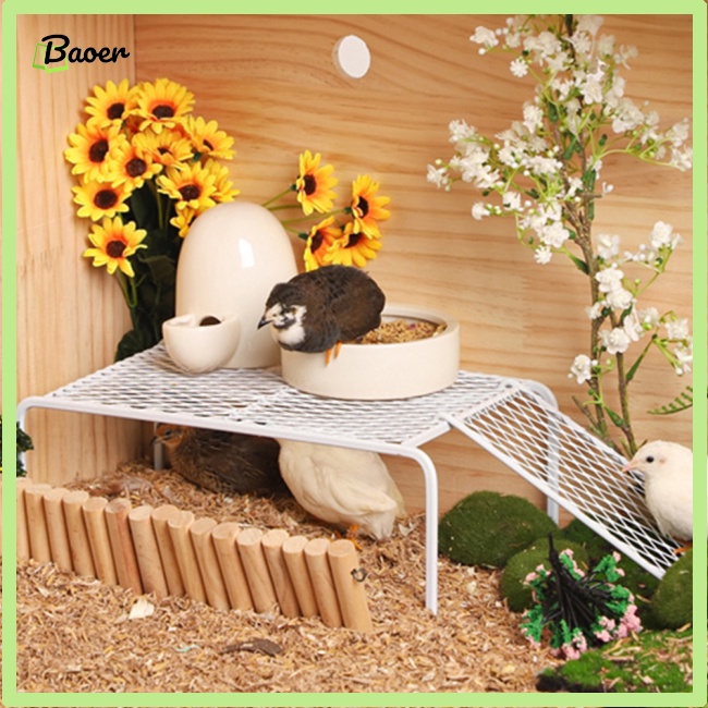 Kệ Lưới Để Gà 100% Bằng Thép Không Gỉ Tiện Dụng