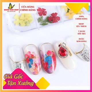 Hoa khô ẩn gel bông tròn