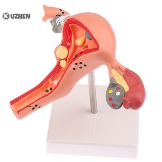 1 Mô Hình Nhân Vật Cung Điện Tử Thông Minh kuzhen Zuzhen
