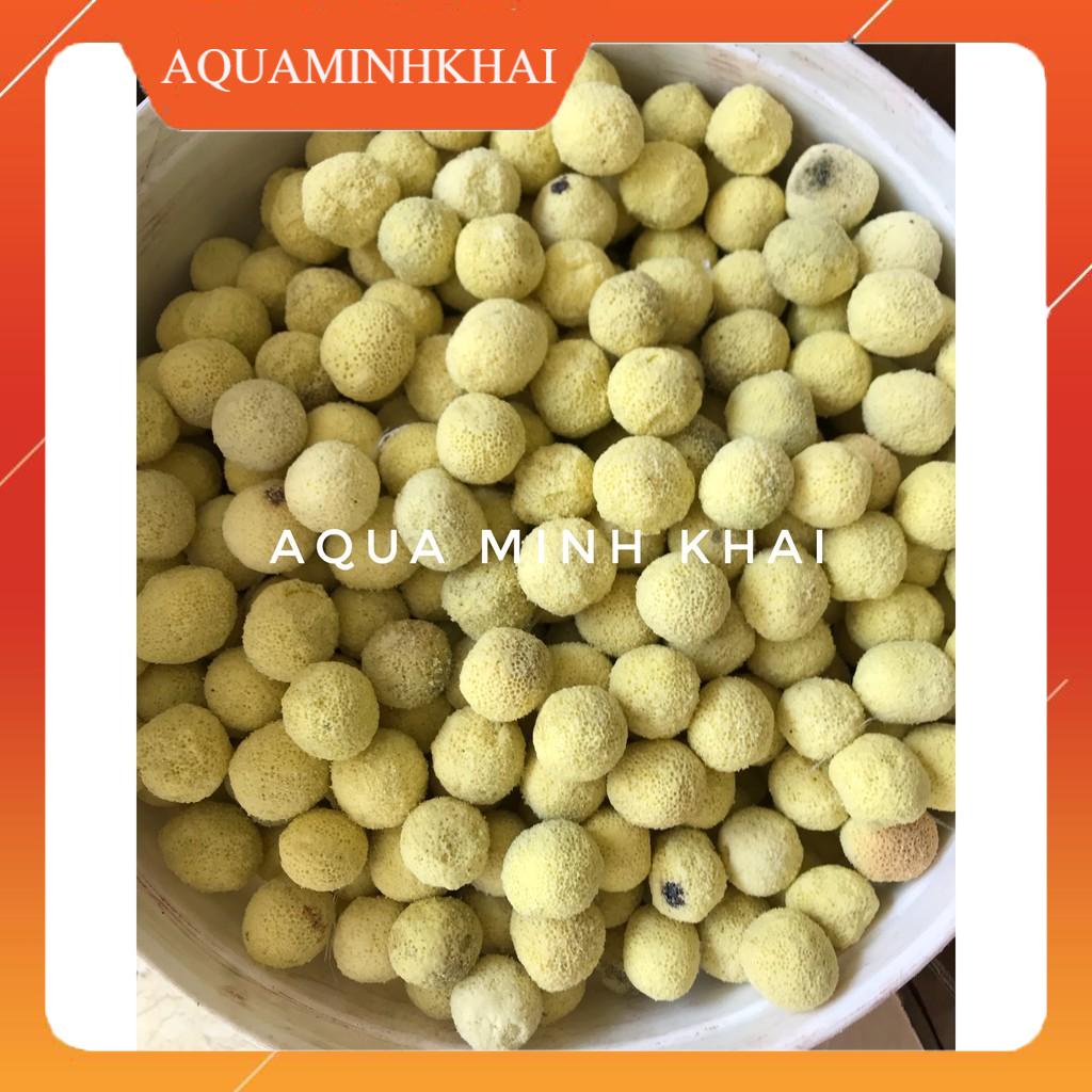 Sứ bi vàng (Sứ lọc vi sinh cao cấp) 100g