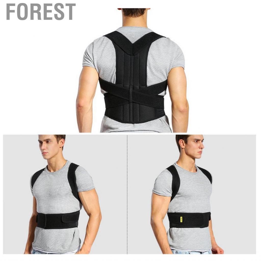 Forest Posture Corrector Back Brace High Elasticity Breathable Adjustable Support Universal Orthopedic Strap