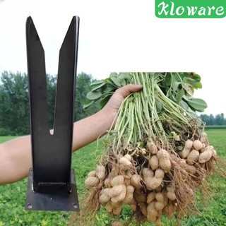 Dụng cụ nhặt hạt đậu phộng