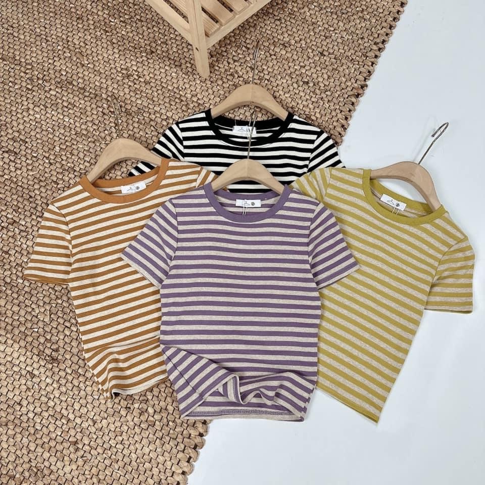Áo thun nữ tay ngắn cổ tròn kẻ sọc hàng Quảng Châu chất cotton, áo phông mùa hè thời trang hàn quốc chất liệu mát 2752 5