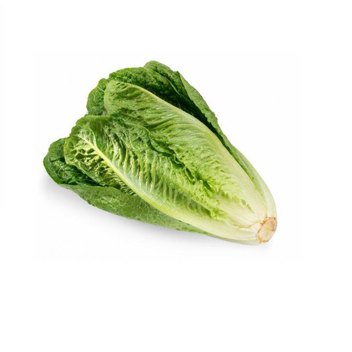 Hạt giống rau xà lách Romain- xà lách hoàng tử xanh gói 0,2 gram xuất xứ Italia - Giống Tốt