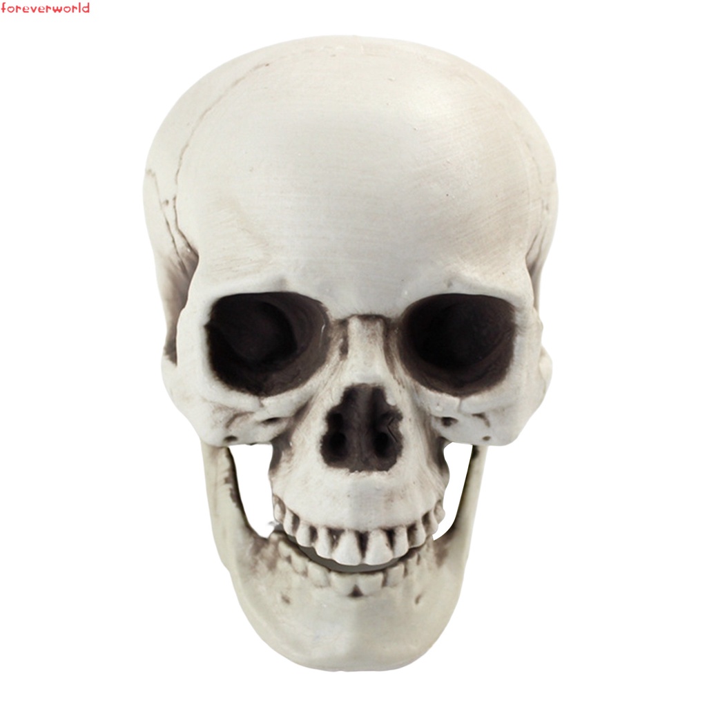 Mô Hình Đầu Lâu Trang Trí halloween