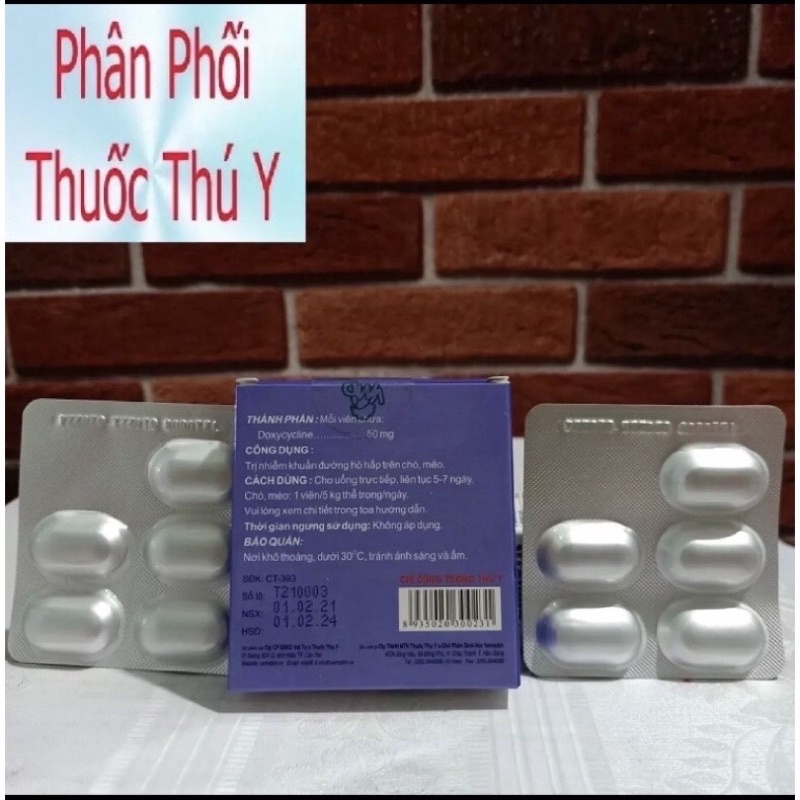 Viên hỗ trợ ho, xổ mũi, hô hấp, viêm phổi ở chó mèo