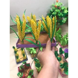 Vỉ rau củ xốp, đồ dùng mầm non ...