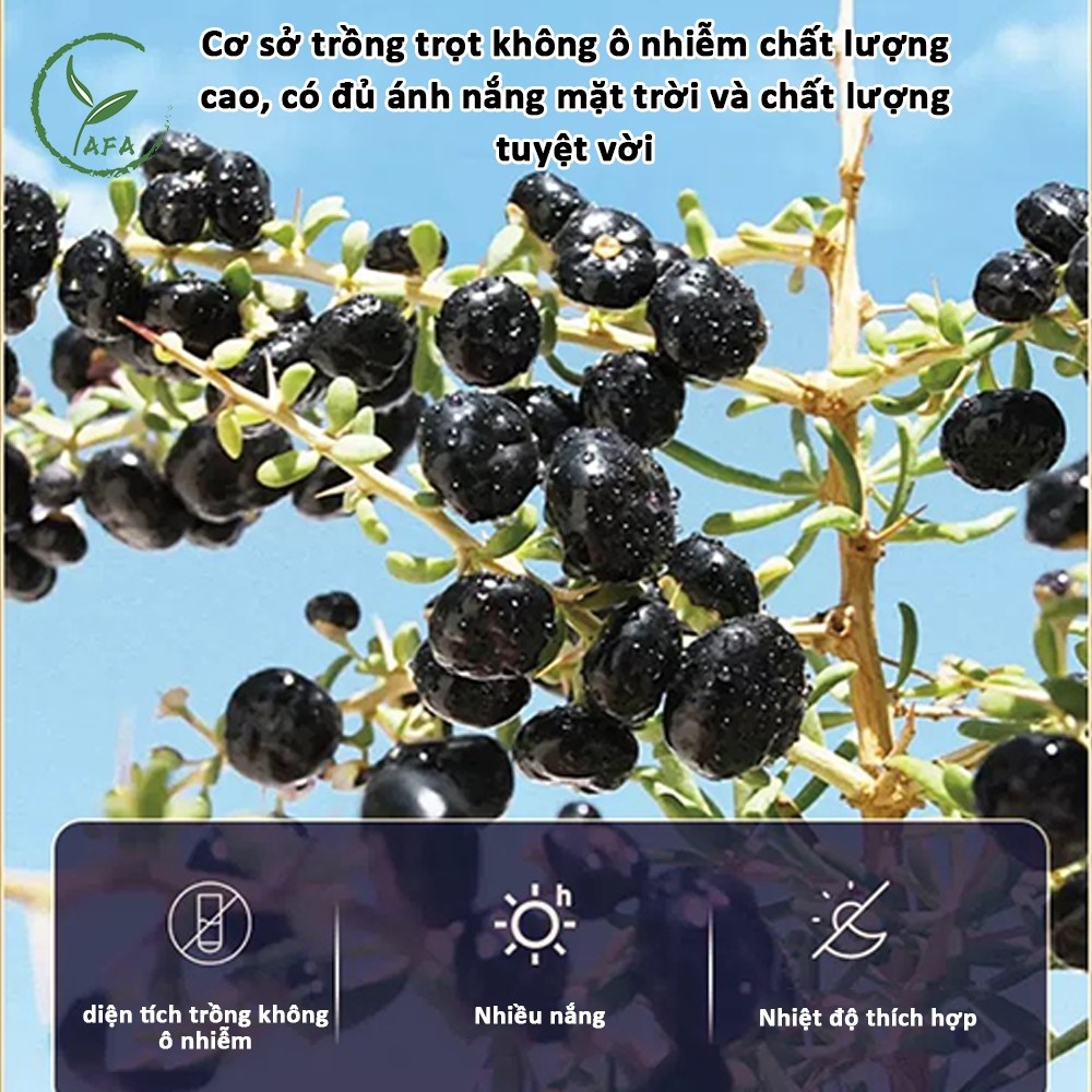 Kỳ Tử Đen 100g đóng chai Hắc Kỷ Tử Sấy Khô Quả To Tự Nhiên Sáng Mắt, Đẹp Da, Dưỡng Nhan, Thanh Nhiệt