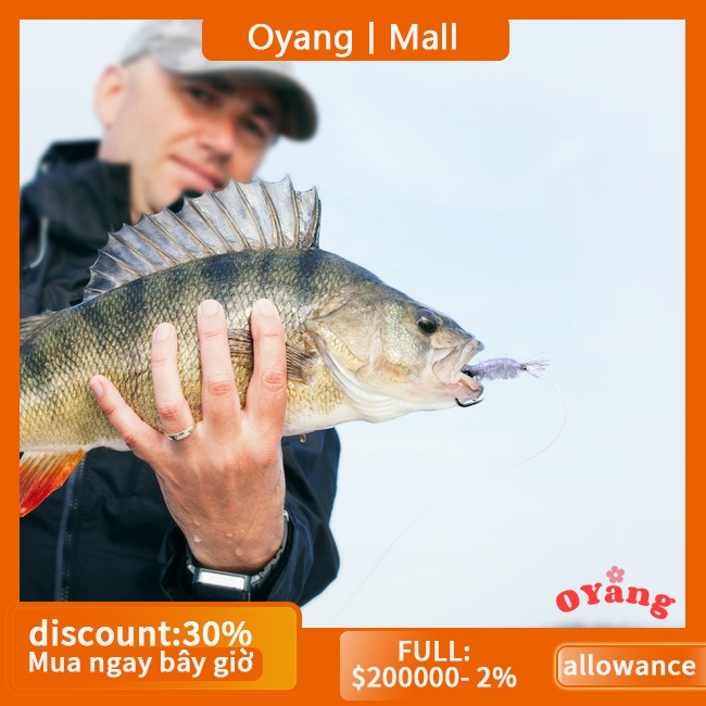 Oyang Mồi Câu Cá Giả Hình Tôm Bằng Thép carbon Phát Sáng Trong Tối