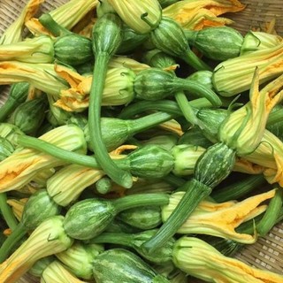 Hạt giống bí siêu nụ/ bí nụ ăn non - dễ trồng,giòn ngọt, dinh dưỡng cao- hạt giống tốt