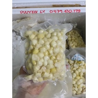 [BÁN SỈ]Nhân Macca tươi