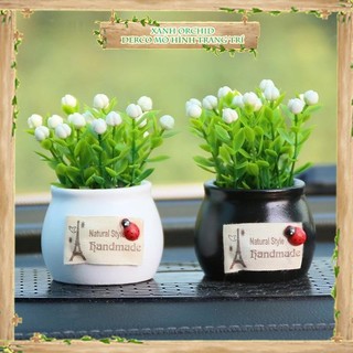 Tiểu cảnh "chậu cây trang trí taplo ô tô mini" sen đá, sân vườn/ chậu cây, dyi, terrarium .