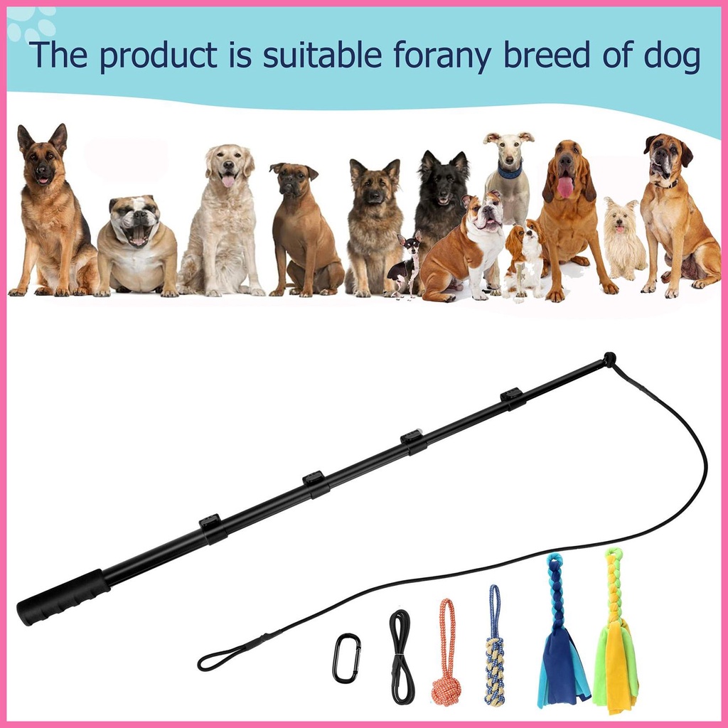 Flirt Đồ Chơi Gậy Leo Trèo Chiến Tranh Có Thể Kéo Dài Cho Chó Cưng