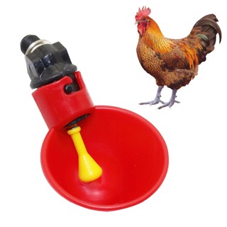 Máng uống tự động cho gà vịt - loại dạnh cốc hàng sịn-GIUSE