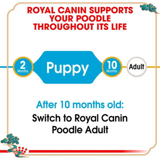 THỨC ĂN CHO CHÓ ROYAL CANIN POODLE-CHUBBY MEW