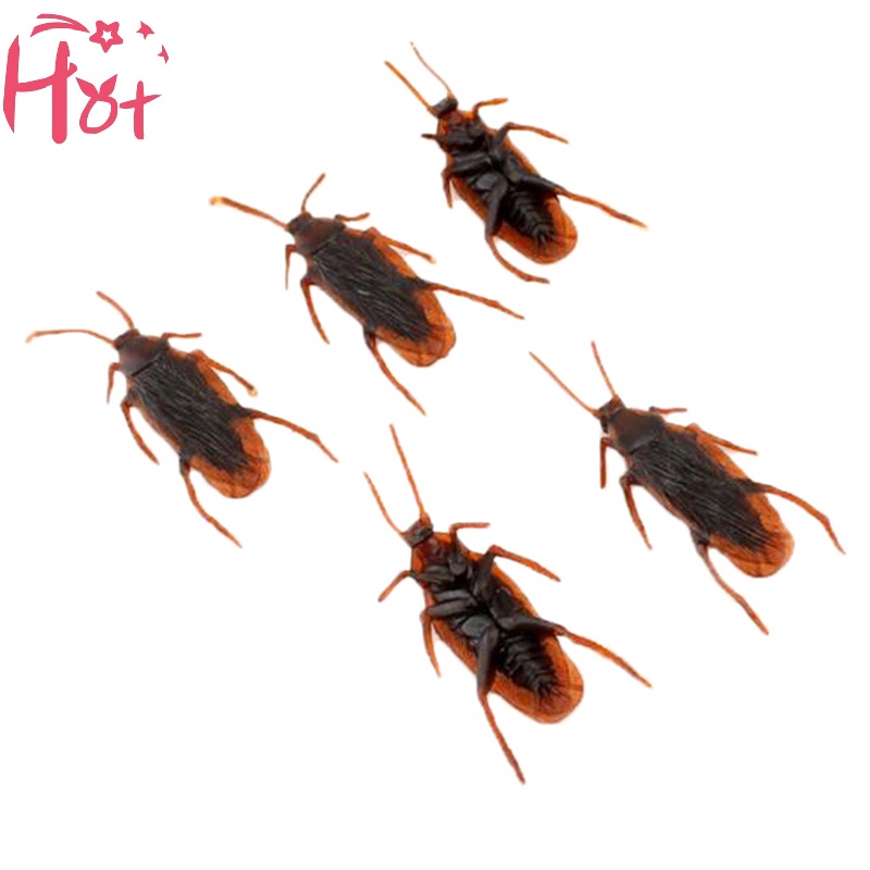 Jr Set 10 Mô Hình Con Gián Giả Bằng Cao Su Độc Đáo Sống Động vn