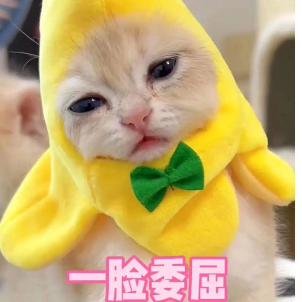 Ere1 Búp Bê Nhồi Bông Hình Mèo Ăn Chuối mini Dễ Thương Làm Đạo Cụ Chụp Ảnh