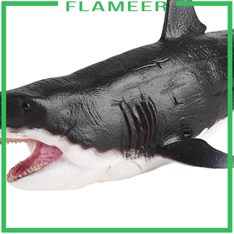 Megalodon Mô Hình Cá Mập / Cá Mập Độc Đáo Cho Bé