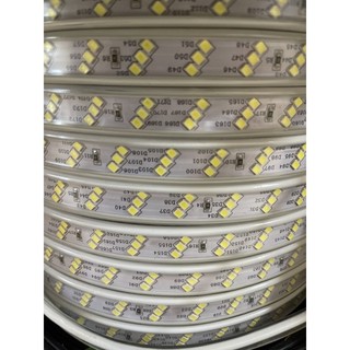 Dây Led 3 hàng led , 2 hàng led (giá tính theo m)