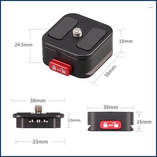 Quick Release Plate Adapter for DSLR Mirrorless Camera Tripod - Express Pallet Mount