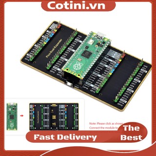 [cotini.vn] Bộ Hai Đầu Mở Rộng usb Cho raspberry pi pico