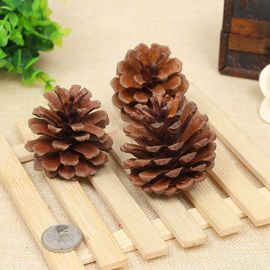 Quả thông khô trang trí giáng sinh nhiều cỡ, phụ kiện trang trí Noel làm quà tặng handmade DIY