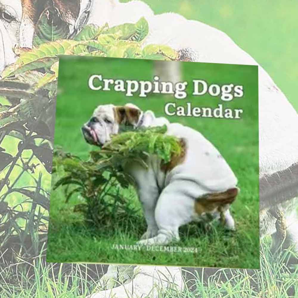 2024 Wall Calendar 12 Monthly Pooping Dogs Calendar Funny Dog Calendar Gag Gifts,Perfect White Elephant Christmas Gift