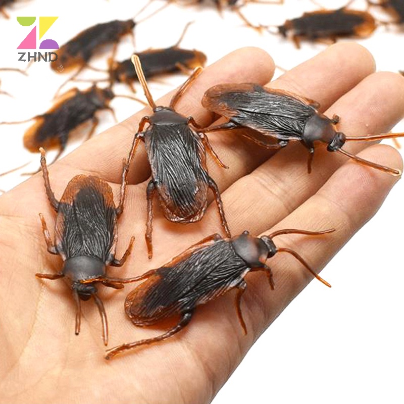 Zhuzhengde Set 10 Mô Hình Con Gián Giả Bằng Cao Su Sống Động Như Thật