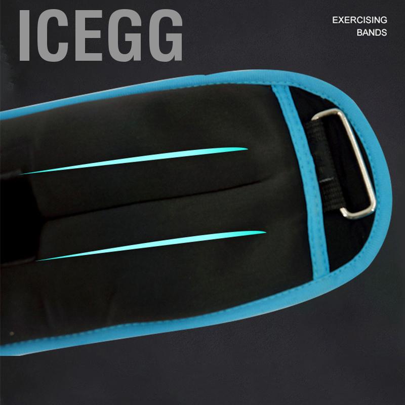 Icegg 1 Pair Ankle Weights Strength Training Weight Bearing Adjustable Wrist Sandbag Running Walking
