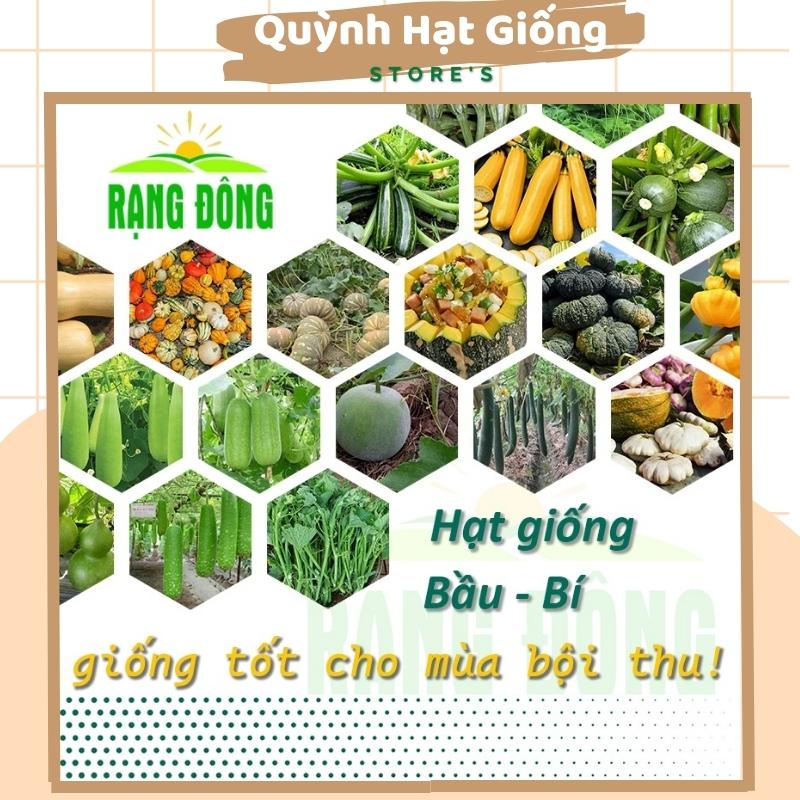 Hạt giống Bầu - Bí trồng quanh năm,nảy mầm tốt, sinh trưởng khỏe, Hạt giống rau củ quả trồng chậu -Quỳnh Hạt Giống