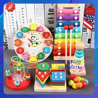 Combo 6 món - đồ chơi gỗ phát triển trí tuệ cho bé.