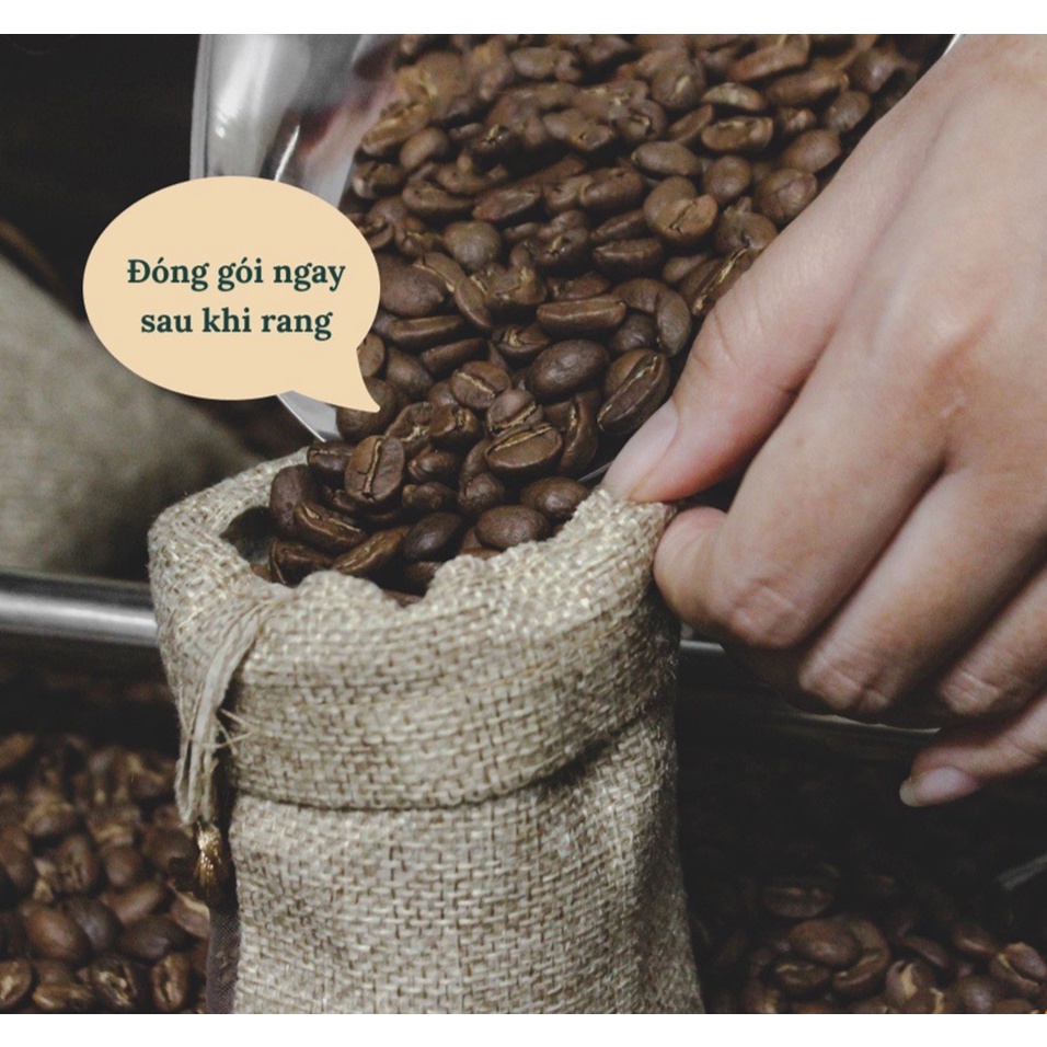 Túi cafe hút mùi treo xe, túi cà phê khử mùi ô tô, phòng, tủ quần áo, cafe treo xe | BigBuy360 - bigbuy360.vn