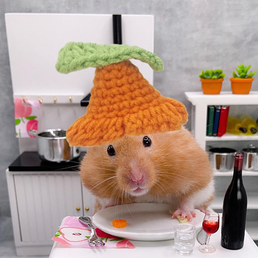 Dễ Thương Nón Len mini Đáng Yêu Cho Chuột Hamster x1g5