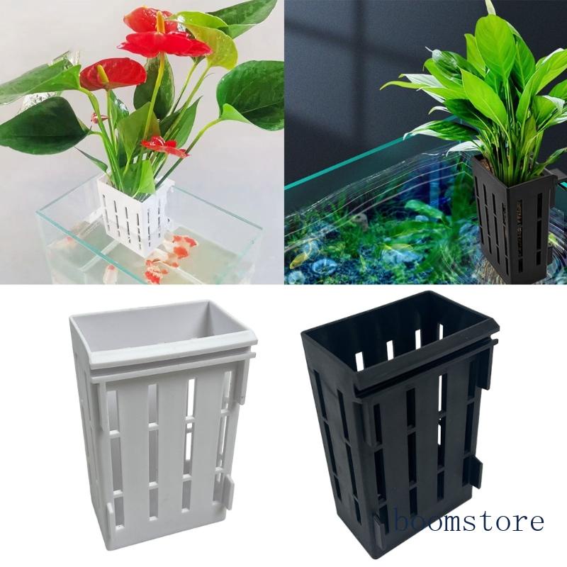 Set 4 Giá Đỡ Trồng Cây Trang Trí Bể Cá