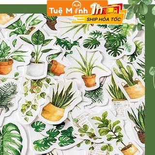 Hộp 45-50 sticker tùy chọn, vintage cổ điển hình tem, trà sữa, lá cây, ren Vpp Tuệ Minh
