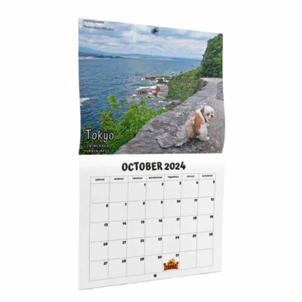 2024 Calendar-Funny Dogs Pooping in Beautiful Places Wall Calendar