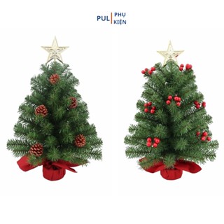    XMAS  Cây thông noel mini xanh gắn trái thông trái đỏ để bàn trang trí decor giáng sinh 