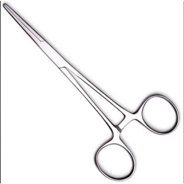 Pen 12 thẳng không mấu