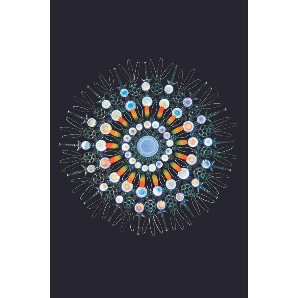 Sách - Vũ trụ: Những thế giới khả hữu    - Nhã Nam