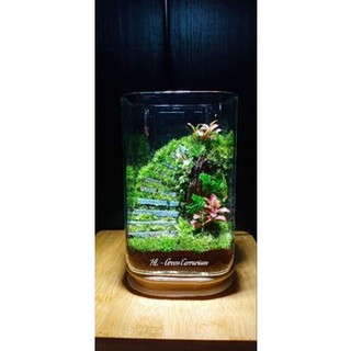 Đá bậc thang trang trí tiểu cảnh, terrarium....