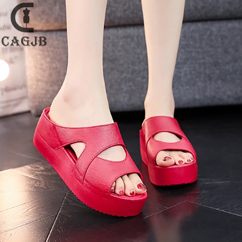 Tấm Chắn Gió Bảo Vệ Chuyên Dụng Cho Xe Đạp